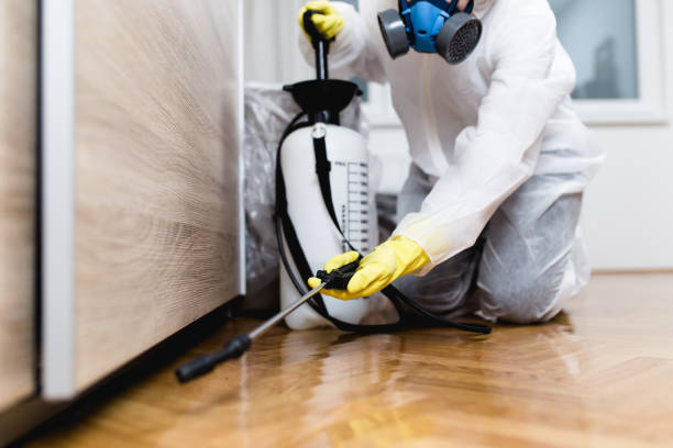 Best Rat Extermination Near Me  in Bloomingdale, NJ