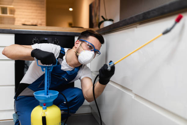 Best Mosquito Control Services  in Bloomingdale, NJ