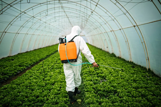 Best Pest Removal Services  in Bloomingdale, NJ