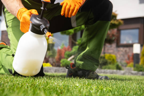 Bird Control in Bloomingdale, NJ