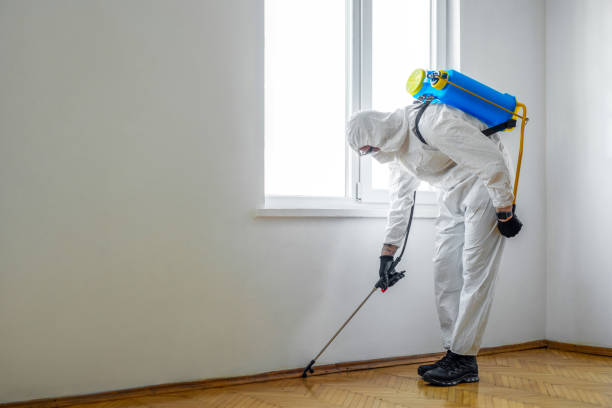 Best Affordable Pest Control Services  in Bloomingdale, NJ