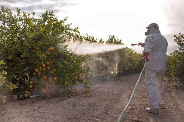 Best Mosquito Control Services  in Bloomingdale, NJ