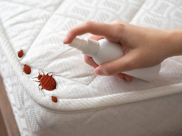 Best Pest Inspection Near Me  in Bloomingdale, NJ