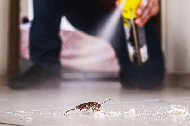 Best Commercial Pest Control Services  in Bloomingdale, NJ