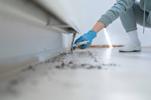 Best Affordable Pest Control Services  in Bloomingdale, NJ
